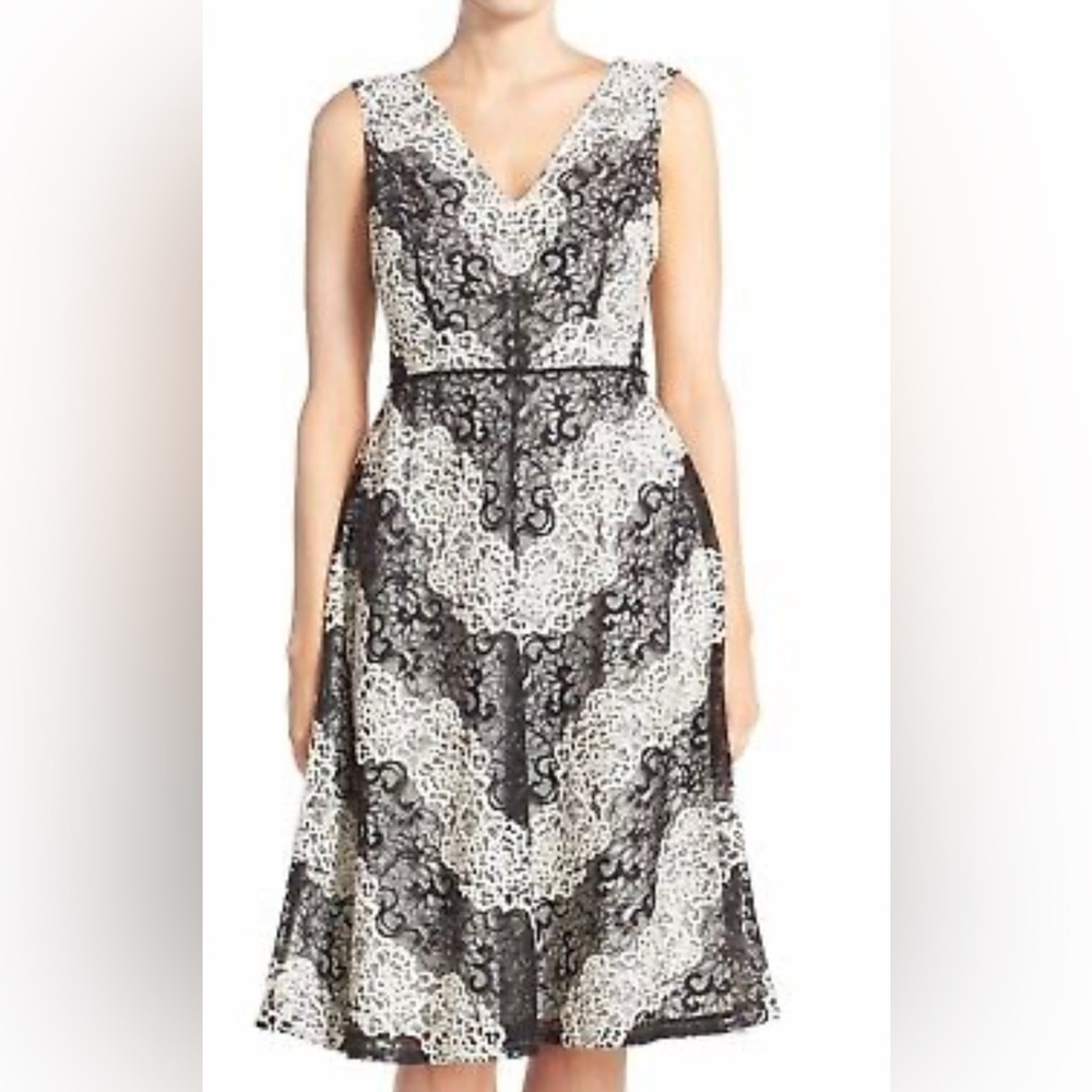 Adrianna Papell Black and White Lace Dress